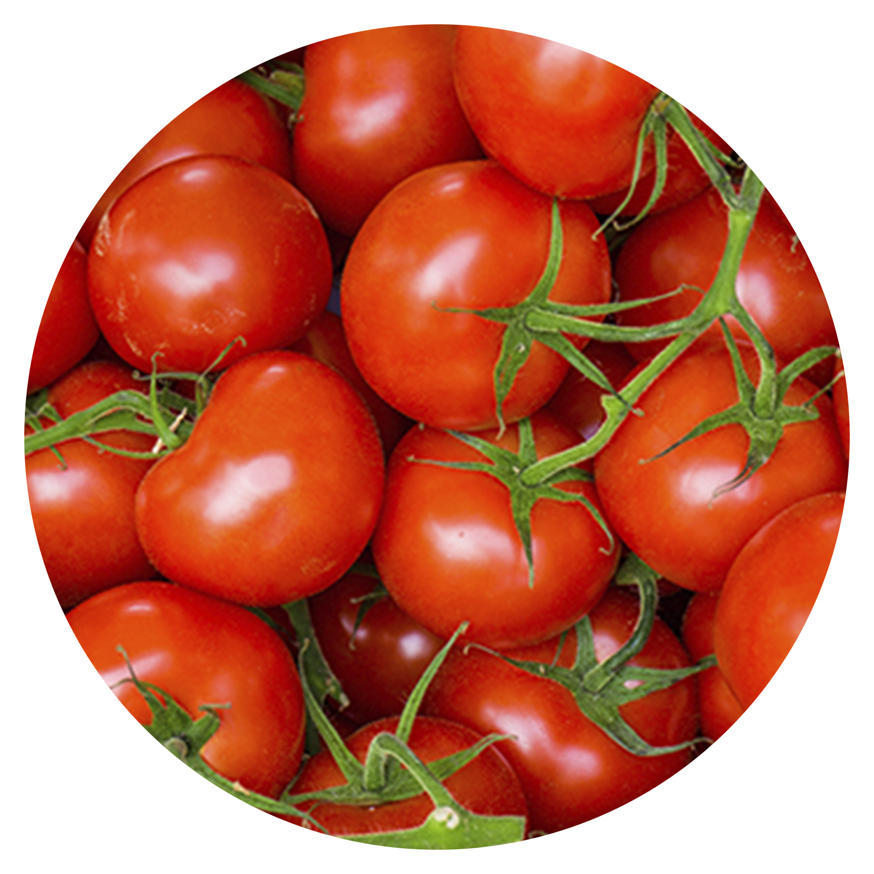 124708C-Ingredients-Lycopene-NutVisHealth.jpg