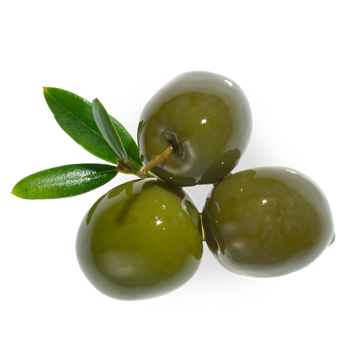 127019V_ingredient_02_olive.png